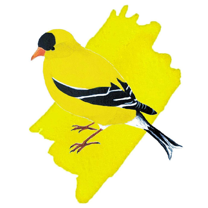 Anderillium Avian Ink - American Goldfinch Yellow - 1.5 oz - Pen Boutique Ltd