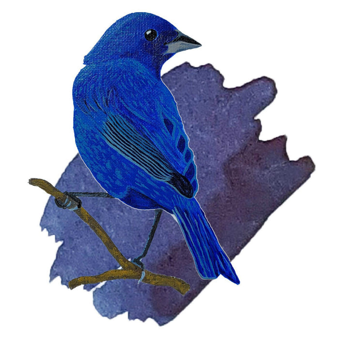 Anderillium Avian Ink - Indigo Bunting Blue - 1.5 oz - Pen Boutique Ltd