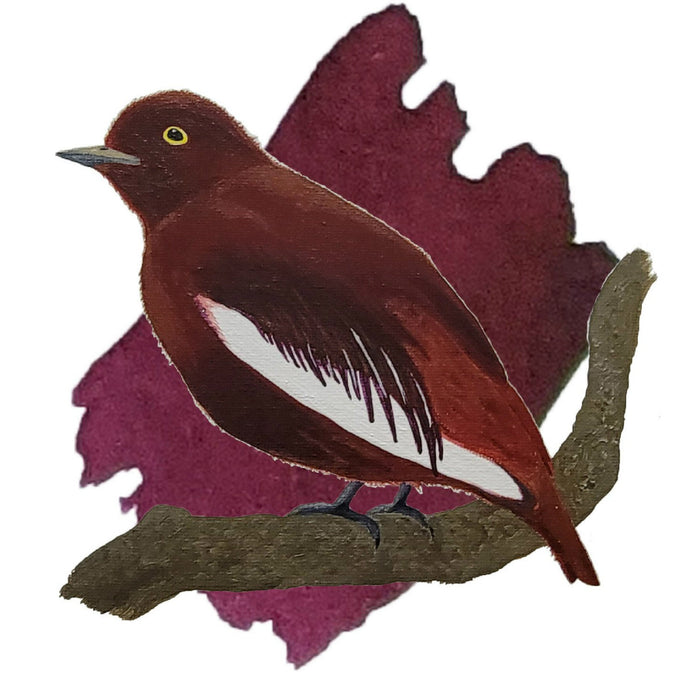 Anderillium Avian Ink - Pompadour Cotinga Burgundy - 1.5 oz - Pen Boutique Ltd