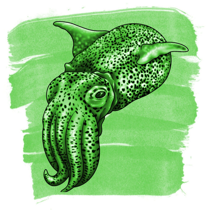 Anderillium Cephalopod Ink - Bobtail Squid Green - 1.5 oz - Pen Boutique Ltd