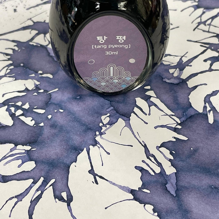 Colorverse Kingdom Ink - Project No. 20 - 30ml - Pen Boutique Ltd