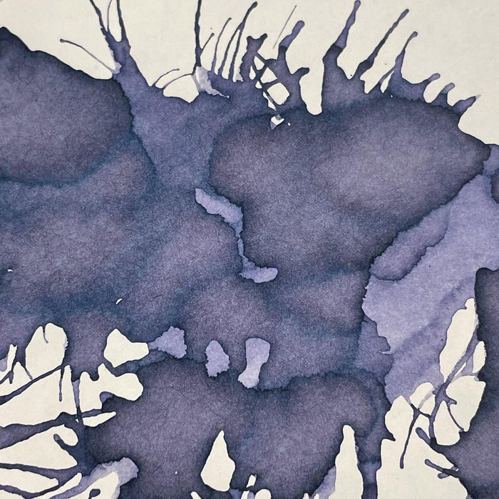 Colorverse Kingdom Ink - Project No. 20 - 30ml - Pen Boutique Ltd
