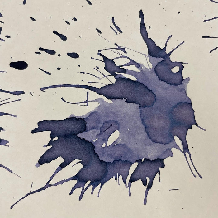 Colorverse Kingdom Ink - Project No. 20 - 30ml - Pen Boutique Ltd