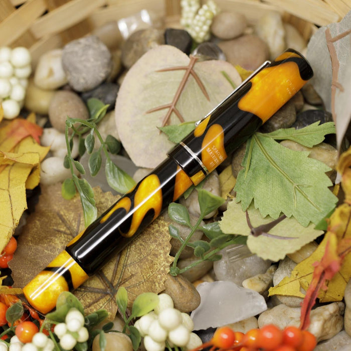 Delta Spaccanapoli Masterpiece Fountain Pen - Palladium - Limited Edition (Pen Boutique Exclusive) - Pen Boutique Ltd