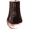 Dominant Industry Standard Ink Bottle - Fishermen at Sea - 25ml ( Painter Series ) - Pen Boutique Ltd
