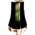 Dominant Industry Standard Ink Bottle - Seaweed - Pen Boutique Ltd