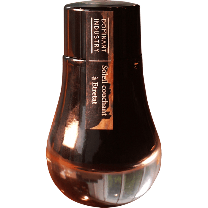 Dominant Industry Standard Ink Bottle - Soleil couchant à Etretat - 25ml ( Painter Series ) - Pen Boutique Ltd