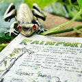 Esterbrook Page Clip - Tree Frog - Pen Boutique Ltd