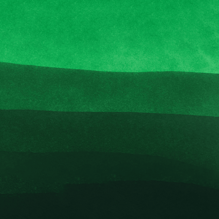J. Herbin 1798 Essential Bottled Ink - Vert Amazone - 15ml - Pen Boutique Ltd