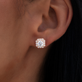 Micro Clustered Diamond Earrings - Rose Gold
