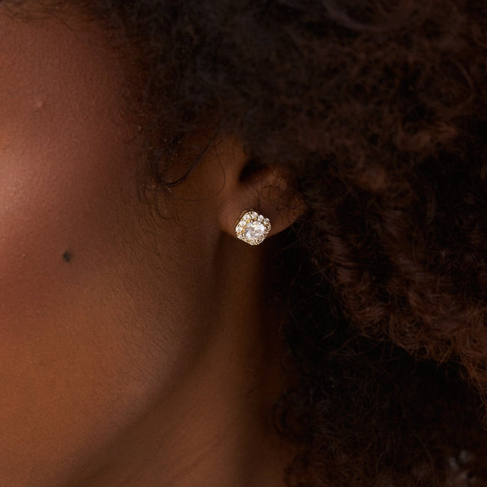 Micro Clustered Diamond Earrings in Yellow Gold