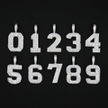 Pave Number Pendants in White Gold