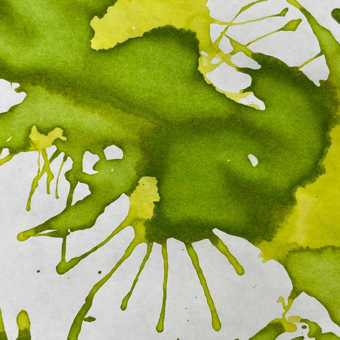 Pilot Iroshizuku Light of Fireflies (Hotaru - Bi) Ink Bottle - Pen Boutique Ltd