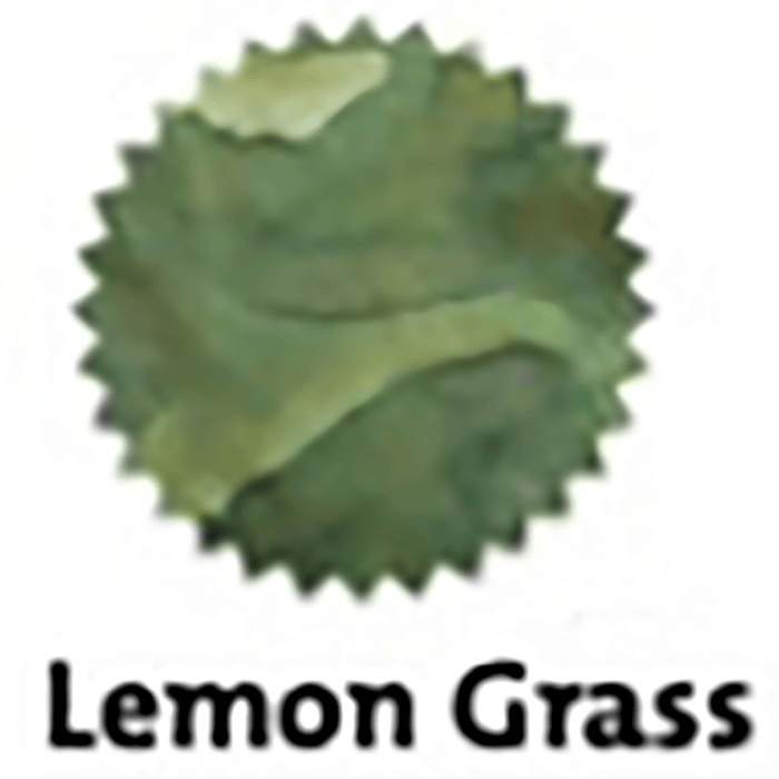 Robert Oster Signature Ink Bottle - Lemon Grass - 50ml - Pen Boutique Ltd