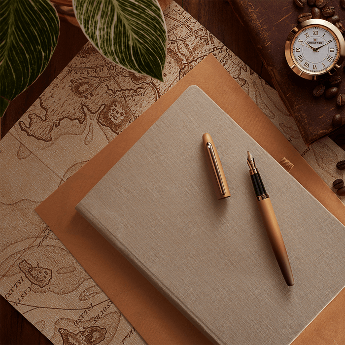 Sheaffer VFM Fountain Pen - Coffee Edition - Pen Boutique Ltd